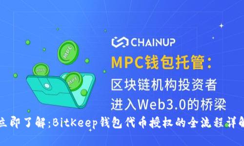立即了解：BitKeep钱包代币授权的全流程详解