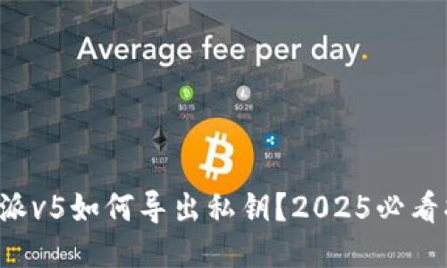 比特派v5如何导出私钥？2025必看指南！