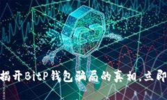 # 2025必看！揭开BitP钱包骗局的真相，立即了解投