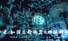 2025必看：如何立即恢复B特派钱包的资产
