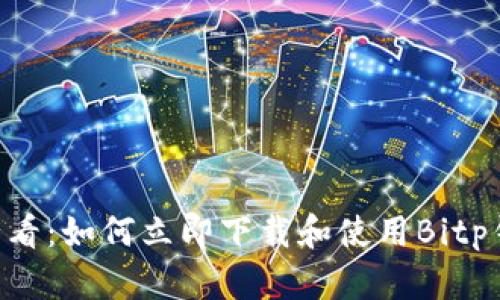 2025必看：如何立即下载和使用Bitp钱包APP