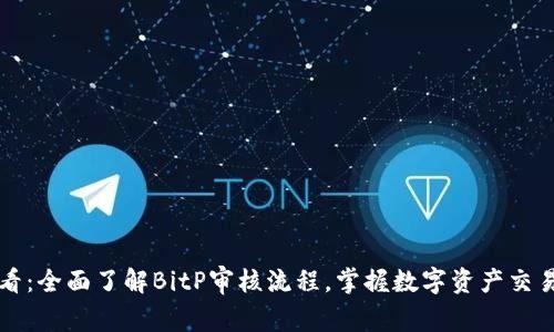 2025必看：全面了解BitP审核流程，掌握数字资产交易的未来！