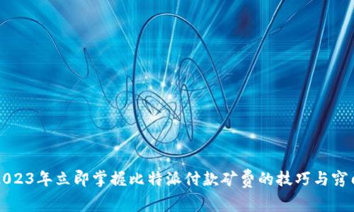 2023年立即掌握比特派付款矿费的技巧与窍门