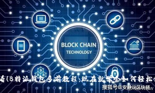 : 2025必看！B特派钱包多前教程：现在就学会如何轻松使用此钱包