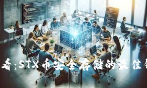 2025必看：STX币安全存储的最佳钱包推荐