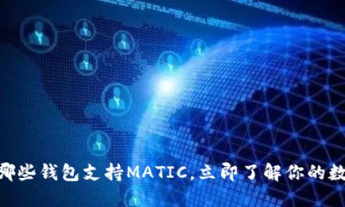 2025必看：哪些钱包支持MATIC，立即了解你的数字资产选择
