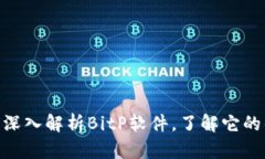 2025必看：深入解析BitP软件，了解它的优势与不足