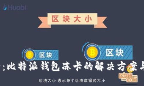 2025必看：比特派钱包冻卡的解决方案与使用技巧