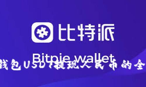 立即学习！波比钱包USDT提现人民币的全攻略，2025必看