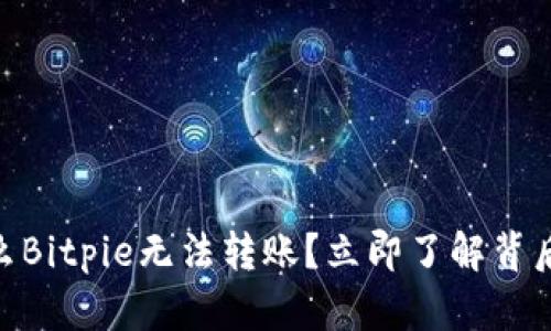 2025必看：为什么Bitpie无法转账？立即了解背后原因与解决方案