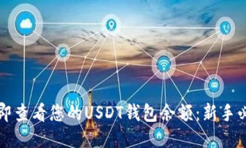 如何立即查看您的USDT钱包余额：新手必看指南