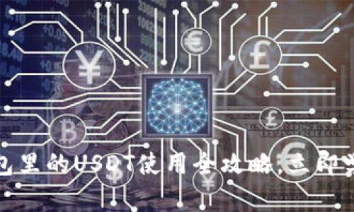 2025必看！TP钱包里的USDT使用全攻略，立即学会如何轻松交易