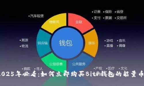 2025年必看：如何立即购买BitP钱包的能量币？