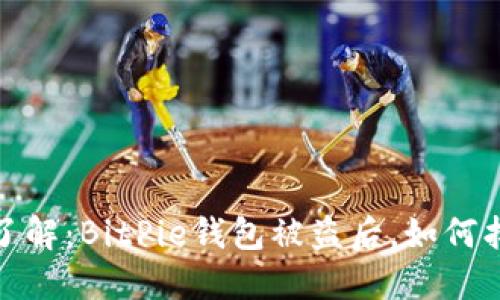 2023年立即了解：BitPie钱包被盗后，如何找回你的资产？