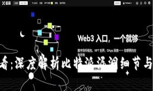 u/u 2025必看：深度解析比特派漏洞细节与安全防范策略