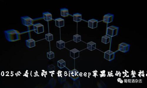 2025必看！立即下载BitKeep苹果版的完整指南