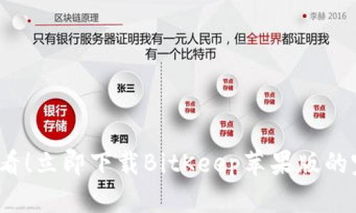 2025必看！立即下载BitKeep苹果版的完整指南