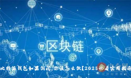 比特派钱包如果倒闭，你该怎么做？2025必看实用指南