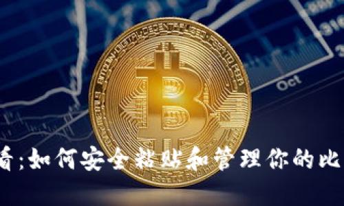 2025必看：如何安全粘贴和管理你的比特币钱包