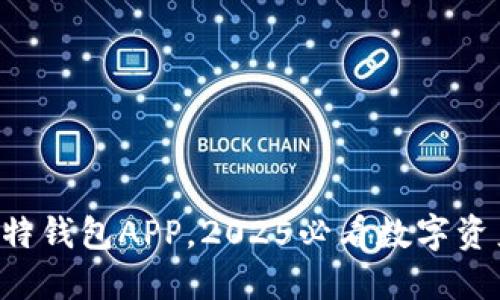 立即下载比特钱包APP，2025必看数字资产管理神器！