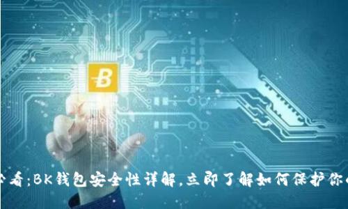 2025必看：BK钱包安全性详解，立即了解如何保护你的资产！