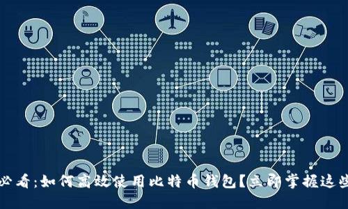 2025必看：如何高效使用比特币钱包？立即掌握这些技巧！