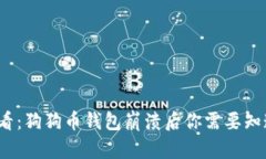 2025必看：狗狗币钱包崩溃后你需要知道的一切