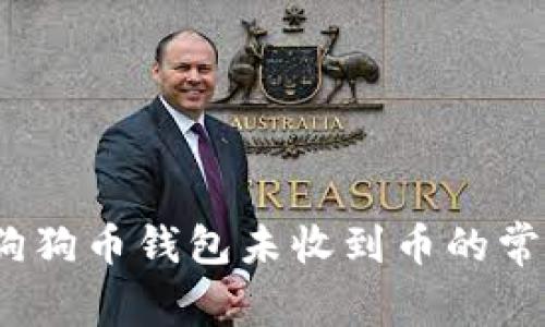 立即解决：手机版狗狗币钱包未收到币的常见问题及解决方案