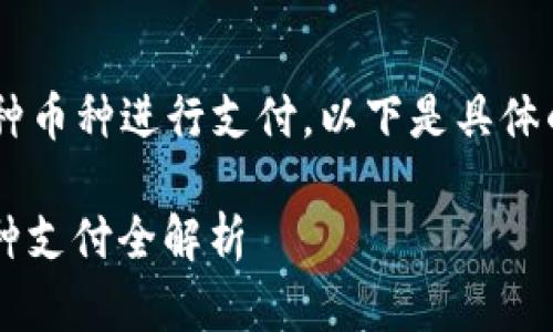 截至目前，B特派（B的特派）支持多种币种进行支付。以下是具体的币种信息和支付方式的详细介绍。

### 2025必看！B特派支持的币种支付全解析