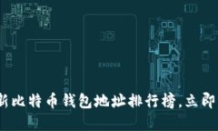 2025必看：最新比特币钱包地址排行榜，立即了解