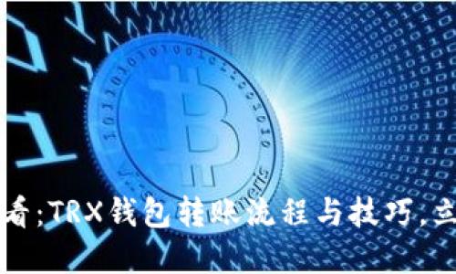 2025必看：TRX钱包转账流程与技巧，立即了解！