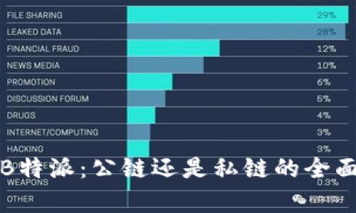 探讨B特派：公链还是私链的全面分析