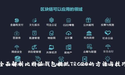 全面解析比特派钱包提现TRC20的方法与技巧