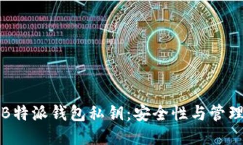 思考

解读B特派钱包私钥：安全性与管理技巧