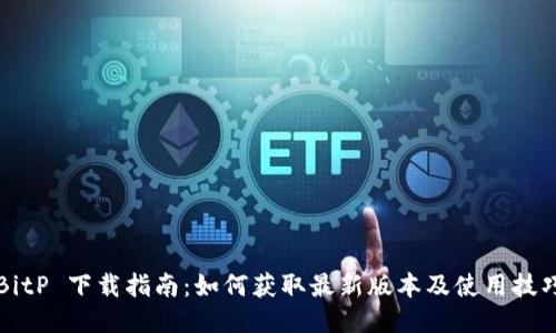 BitP 下载指南：如何获取最新版本及使用技巧