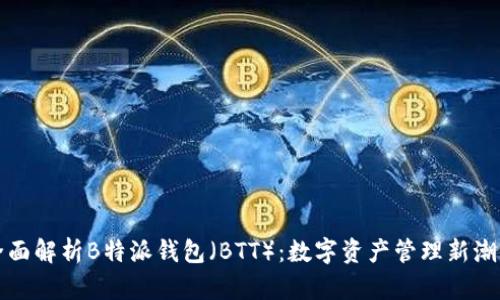 全面解析B特派钱包（BTT）：数字资产管理新潮流