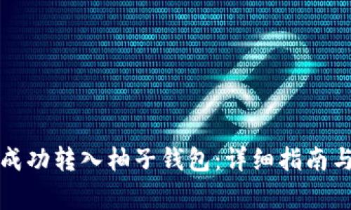 如何将比特币成功转入柚子钱包：详细指南与常见问题解答