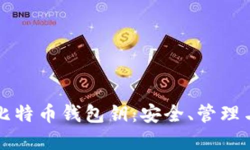 深入探究比特币钱包钥：安全、管理与最佳实践