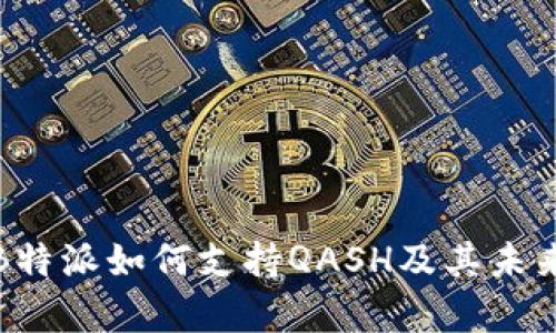 深入解析B特派如何支持QASH及其未来发展趋势