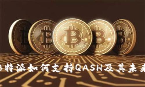 深入解析B特派如何支持QASH及其未来发展趋势