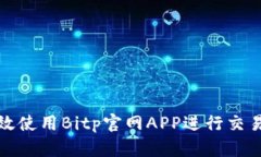 如何有效使用Bitp官网APP进行交易与投资