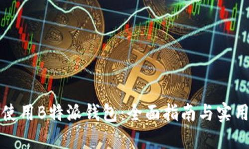 如何使用B特派钱包：全面指南与实用技巧