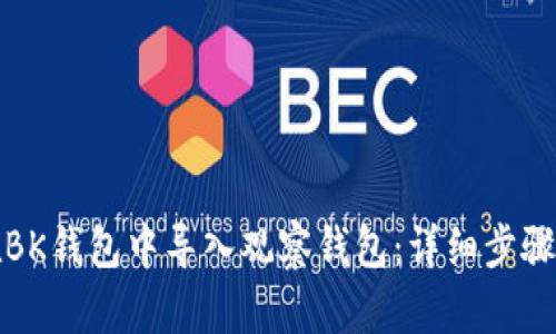 如何在BK钱包中导入观察钱包：详细步骤与技巧