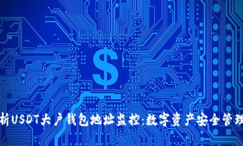 深入解析USDT大户钱包地址监控：数字资产安全管理新趋势
