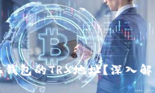 什么是中心化钱包的TRX地址？深入解析与实用指南