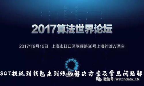 USDT提现到钱包未到账的解决方案及常见问题解析