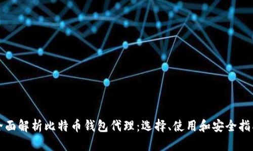 全面解析比特币钱包代理：选择、使用和安全指南