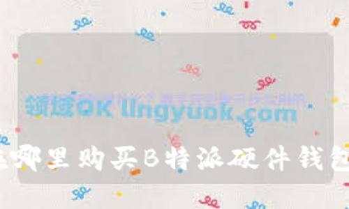 在哪里购买B特派硬件钱包？