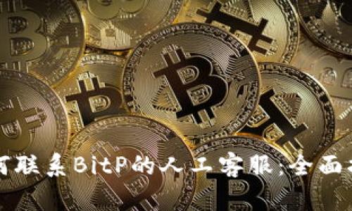 如何联系BitP的人工客服：全面指南