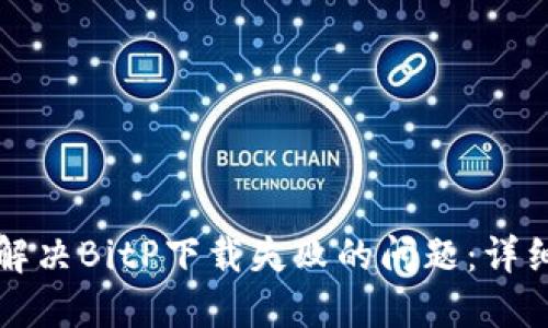 如何解决BitP下载失败的问题：详细指南